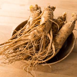Korean Ginseng